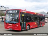 Cardinal Buses DE121 na cidade de Weybridge, Surrey, Inglaterra, por Fábio Takahashi Tanniguchi. Número da foto: #12090269.