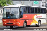 Ozelame Transportes 2544 na cidade de Caxias do Sul, Rio Grande do Sul, Brasil, por Alyson Frank Ehlert Ferreira. Número da foto: #12090702.