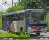Transportes Capellini 32.072 na cidade de Campinas, São Paulo, Brasil, por Danilo Augusto. Número da foto: #12091435.