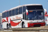 Novo Millenium Turismo 2500 na cidade de Rio de Janeiro, Rio de Janeiro, Brasil, por Rodrigo Miguel. Número da foto: #12093037.