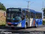 Transportes Capellini 19.119 na cidade de Campinas, São Paulo, Brasil, por Henrique Alves de Paula Silva. Número da foto: #12093792.