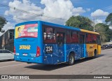 Francovig Transportes Coletivos 234 na cidade de Araucária, Paraná, Brasil, por Amauri Souza. Número da foto: #:id.