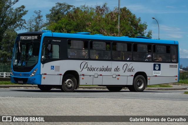 Princesinha do Vale 222332 na cidade de Resende, Rio de Janeiro, Brasil, por Gabriel Nunes de Carvalho. Número da foto: #12097252.