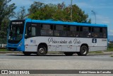 Princesinha do Vale 222332 na cidade de Resende, Rio de Janeiro, Brasil, por Gabriel Nunes de Carvalho. Número da foto: #12097252.