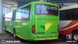 Pássaro Verde 19167 na cidade de Santa Bárbara, Minas Gerais, Brasil, por Antonio Silva. Número da foto: #12100930.