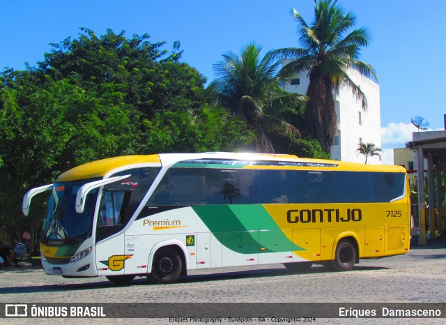 Empresa Gontijo de Transportes 7125 na cidade de Eunápolis, Bahia, Brasil, por Eriques  Damasceno. Número da foto: #12104204.