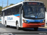 Stelman Tour Transporte Rodoviário de Passageiros 1020 na cidade de Três Rios, Rio de Janeiro, Brasil, por Augusto César. Número da foto: #12103779.