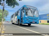 Viação Praia Sol 12317 na cidade de Vila Velha, Espírito Santo, Brasil, por Gabriel Silva. Número da foto: #12103422.