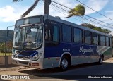 Auto Ônibus Fagundes RJ 101.312 na cidade de Rio Bonito, Rio de Janeiro, Brasil, por Christiano Albernaz. Número da foto: #12103393.