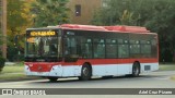 STU Santiago Transporte Urbano SPBG11 na cidade de Huechuraba, Santiago, Metropolitana de Santiago, Chile, por Ariel Cruz Pizarro. Número da foto: #:id.