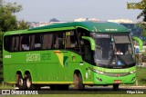 Pássaro Verde 19153 na cidade de Brasília, Distrito Federal, Brasil, por Filipe Lima. Número da foto: #:id.