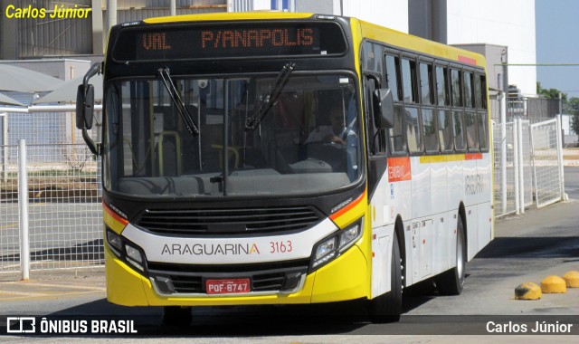Viação Araguarina 3163 na cidade de Goiânia, Goiás, Brasil, por Carlos Júnior. Número da foto: #12108214.