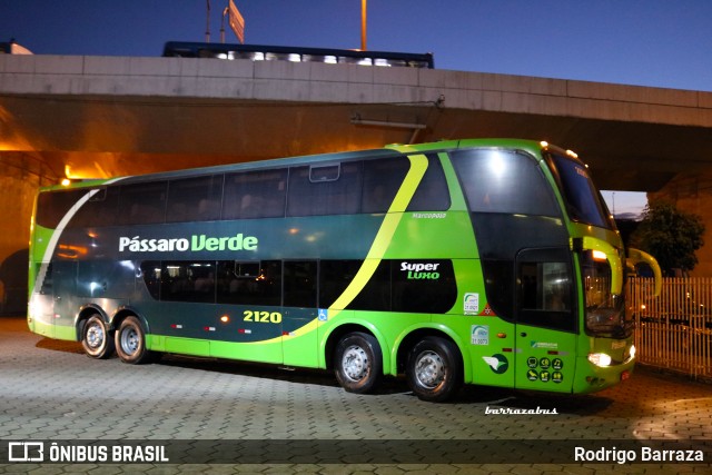 Pássaro Verde 2120 na cidade de Belo Horizonte, Minas Gerais, Brasil, por Rodrigo Barraza. Número da foto: #12067171.
