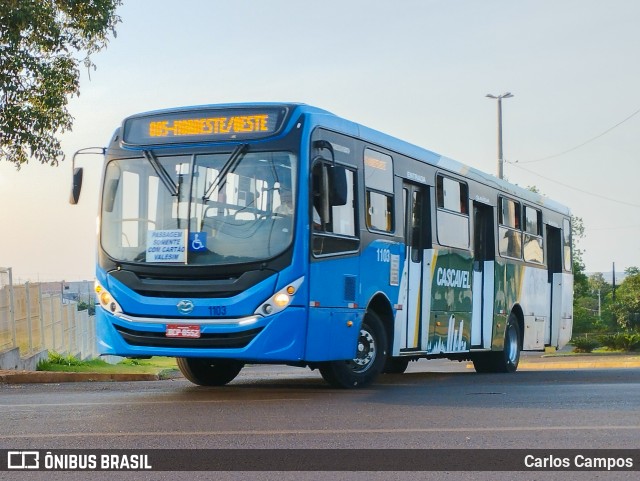 Pioneira Transportes 1103 na cidade de Cascavel, Paraná, Brasil, por Carlos Campos. Número da foto: #12065924.
