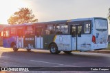 Pioneira Transportes 1105 na cidade de Cascavel, Paraná, Brasil, por Carlos Campos. Número da foto: #12065926.
