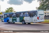 Pioneira Transportes 1103 na cidade de Cascavel, Paraná, Brasil, por Carlos Campos. Número da foto: #12065907.