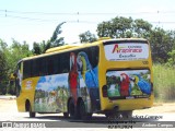 Expresso Arapiraca Viação e Turismo 130 na cidade de Pirapora, Minas Gerais, Brasil, por Andrew Campos. Número da foto: #12067590.