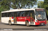Auto Viação Palmares D17082 na cidade de Rio de Janeiro, Rio de Janeiro, Brasil, por Acervo NevesRJPhotos©. Número da foto: #:id.