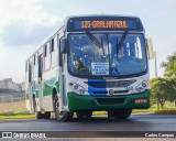 Pioneira Transportes 1050 na cidade de Cascavel, Paraná, Brasil, por Carlos Campos. Número da foto: #12065900.