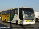 Empresa Gontijo de Transportes 12530 na cidade de São Paulo, São Paulo, Brasil, por Shayan Lee. Número da foto: #12110285.