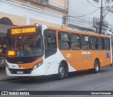 Cidade das Hortênsias 3031 na cidade de Petrópolis, Rio de Janeiro, Brasil, por Samuel Fernando. Número da foto: #12111306.