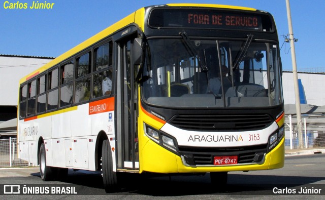 Viação Araguarina 3163 na cidade de Goiânia, Goiás, Brasil, por Carlos Júnior. Número da foto: #12112124.