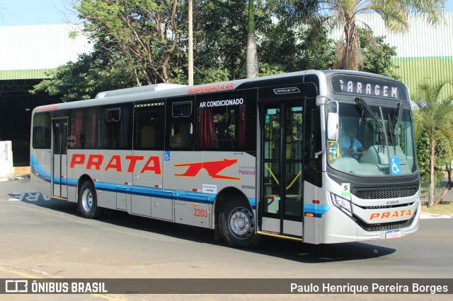 Expresso de Prata 2203 na cidade de Bauru, São Paulo, Brasil, por Paulo Henrique Pereira Borges. Número da foto: #12112386.