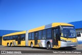 Transportes Capellini 32790 na cidade de Hortolândia, São Paulo, Brasil, por Tadeu Ricardo Simões Rodrigues. Número da foto: #:id.