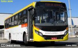 Viação Araguarina 3163 na cidade de Goiânia, Goiás, Brasil, por Carlos Júnior. Número da foto: #12112124.