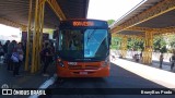 VCG - Viação Campos Gerais 1363 na cidade de Ponta Grossa, Paraná, Brasil, por BrunyBus Prado. Número da foto: #:id.