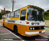 Viação Itapemirim 9119 na cidade de Barueri, São Paulo, Brasil, por Renan De Jesus Oliveira. Número da foto: #12114330.