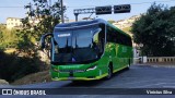 Pássaro Verde 23181 na cidade de Ponte Nova, Minas Gerais, Brasil, por Vinicius Silva. Número da foto: #:id.