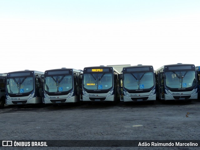 Salvadora Transportes > Transluciana 411XX na cidade de Belo Horizonte, Minas Gerais, Brasil, por Adão Raimundo Marcelino. Número da foto: #12118956.