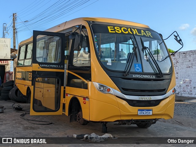 Escolares 200 na cidade de Parnaíba, Piauí, Brasil, por Otto Danger. Número da foto: #12117551.