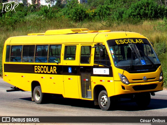 Escolares  na cidade de Belo Horizonte, Minas Gerais, Brasil, por César Ônibus. Número da foto: #12118524.