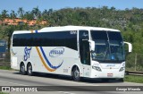 Stelle Turismo 2020 na cidade de Santa Isabel, São Paulo, Brasil, por George Miranda. Número da foto: #:id.