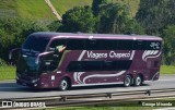 Viagens Chapecó 2020 na cidade de Santa Isabel, São Paulo, Brasil, por George Miranda. Número da foto: #12117809.