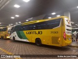 Empresa Gontijo de Transportes 7130 na cidade de Belo Horizonte, Minas Gerais, Brasil, por Wellen de Lima Ribeiro. Número da foto: #12116972.