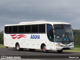 Águia 1643 na cidade de Eldorado do Sul, Rio Grande do Sul, Brasil, por Shayan Lee. Número da foto: #:id.