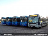 Salvadora Transportes > Transluciana 41098 na cidade de Belo Horizonte, Minas Gerais, Brasil, por Adão Raimundo Marcelino. Número da foto: #12118947.