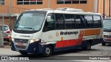 Auto Viação Urubupungá 4880 na cidade de São Paulo, São Paulo, Brasil, por Danilo Veronezzi. Número da foto: #12116827.