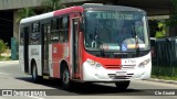 Pêssego Transportes 4 7703 na cidade de São Paulo, São Paulo, Brasil, por Cle Giraldi. Número da foto: #12121388.