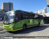 Pássaro Verde 19166 na cidade de Belo Horizonte, Minas Gerais, Brasil, por Helder Fernandes da Silva. Número da foto: #:id.