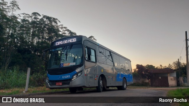 Transwolff Transportes e Turismo 6 6265 na cidade de Embu-Guaçu, São Paulo, Brasil, por Raony Rocha. Número da foto: #12124330.