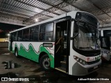 Bonanza Transportes 225357 na cidade de São Lourenço, Minas Gerais, Brasil, por Adilson Ribeiro de Oliveira. Número da foto: #12121871.
