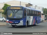 Transportes Capellini 32.773 na cidade de Santa Bárbara d`Oeste, São Paulo, Brasil, por Fernando Félix Ferreira Lima. Número da foto: #12124113.