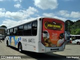 TCL - Transporte Coletivo Leo 64 na cidade de Juiz de Fora, Minas Gerais, Brasil, por Fábio Singulani. Número da foto: #:id.