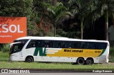 Viação Nacional 16155 na cidade de Manhuaçu, Minas Gerais, Brasil, por Rodrigo Barraza. Número da foto: #12125803.