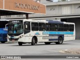 VIDA - Viação Danúbio Azul 19068 na cidade de São Roque, São Paulo, Brasil, por Gabriel Correa. Número da foto: #:id.