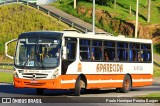 VINSAL - Viação Nossa Senhora Aparecida RJ 187.028 na cidade de Barra do Piraí, Rio de Janeiro, Brasil, por Paulo Henrique Pereira Borges. Número da foto: #12129070.